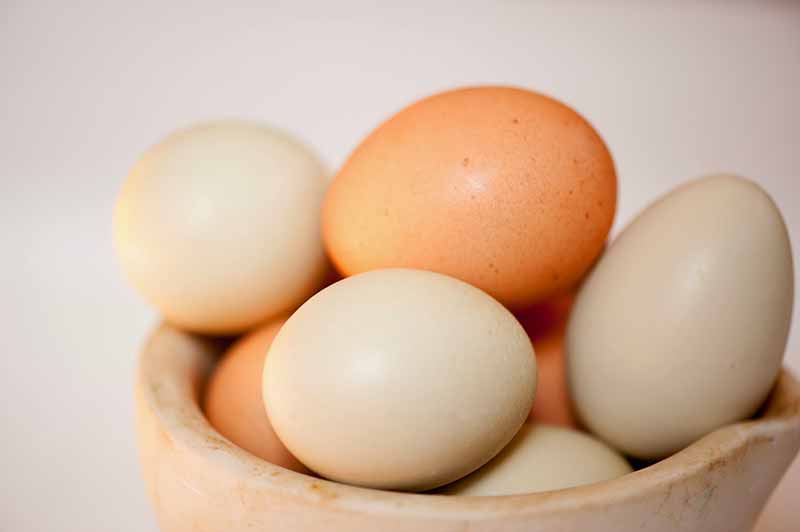 Yumurta A, D, E ve B grubu vitaminlerini içerir.