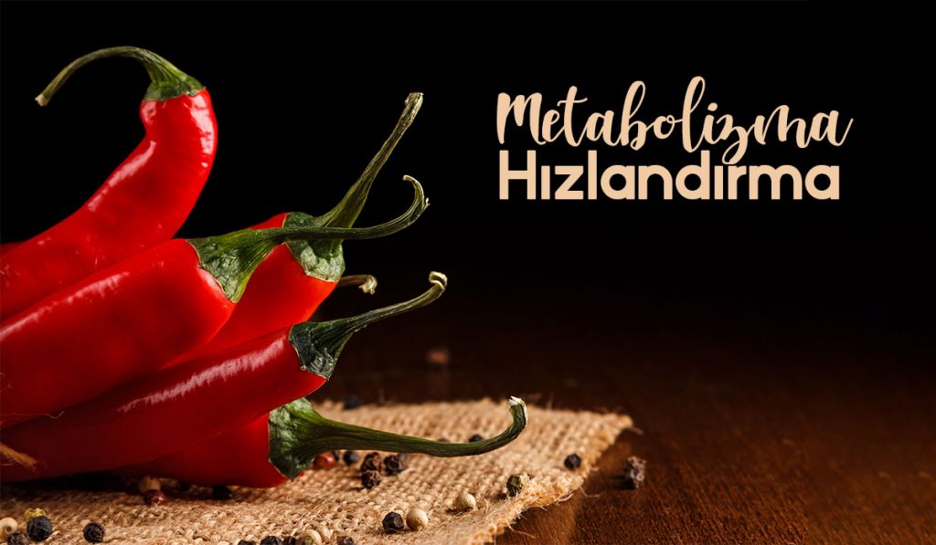 metabolizma
