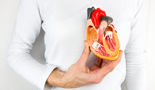 Omega-3 balık yağı kalbe faydalıdır.