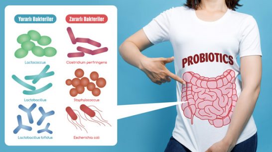 Probiyotik nedir ve faydaları nelerdir sorularını sizin için yanıtladık!