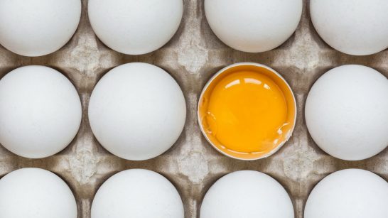 yumurta-kolesterol