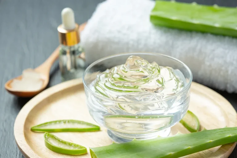 Aloe Vera Nedir, Nasıl Bakılır? Nasıl Kullanılır?